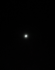 moon48.jpg