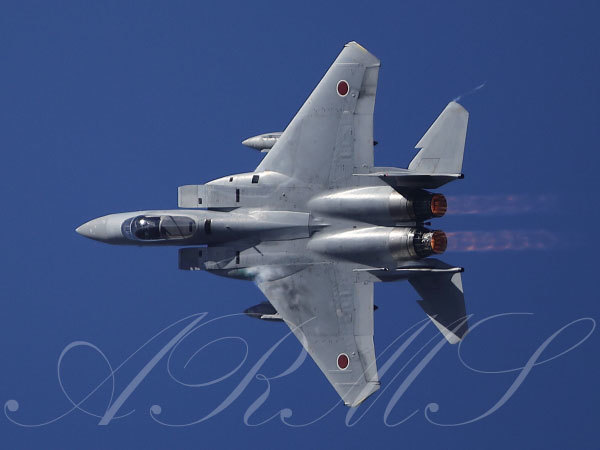 岐阜基地航空祭2022予行 F-15J