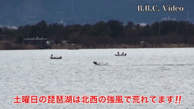 土曜日の琵琶湖は北西の強風で大荒れ!! 湖上はガラ空きです#今日の琵琶湖（YouTubeムービー 22/03/19）