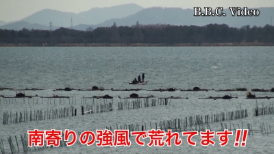 山ノ下湾から眺めた琵琶湖南湖は南寄りの強風で大荒れです #今日の琵琶湖（YouTubeムービー 22/03/24）