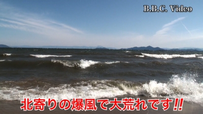 雨後の爆風で大荒れの琵琶湖!! サクラはちらほら咲きに #今日の琵琶湖（YouTubeムービー 22/04/01）
