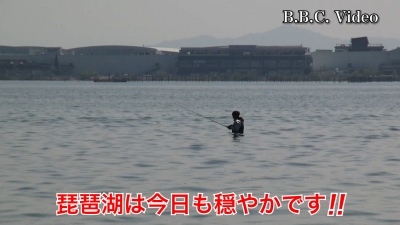 日曜日もいい天気の琵琶湖南湖!! サクラは散り初めです #今日の琵琶湖（YouTubeムービー 22/04/11）