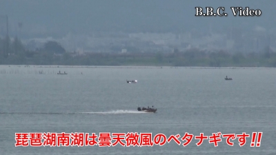 琵琶湖南湖は曇天微風のベタナギ!! サクラは散りました #今日の琵琶湖（YouTubeムービー 22/04/13）