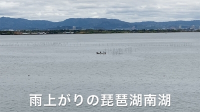 雨上がりの琵琶湖南湖はガラ空きです!! #今日の琵琶湖（YouTubeムービー 22/04/15）