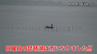 日曜日は雨の琵琶湖!! ガラ空きなのにそこで釣るか･･･泣 #今日の琵琶湖（YouTubeムービー 22/04/24）