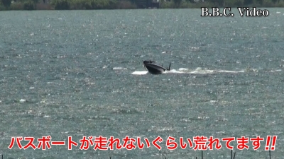 GW4日目の琵琶湖!! 南湖は南寄りの強風で大荒れです #今日の琵琶湖（YouTubeムービー 22/05/02）