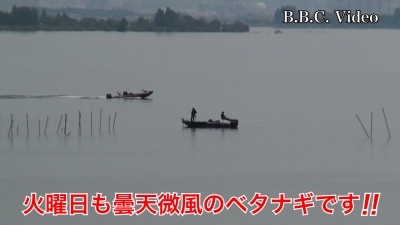 琵琶湖は火曜日も曇天微風のベタナギ!! 湖上はガラ空きです #今日の琵琶湖（YouTubeムービー 22/05/17）