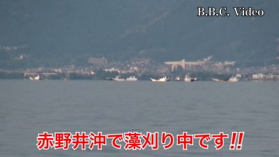 みたら〜の明日はいいことあるさ!! BATNETプラ Part1 赤野井沖で藻刈り中です #今日の琵琶湖（YouTubeムービー 22/05/19）