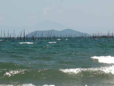 真野浜から眺めた琵琶湖北湖。視界が晴れて沖島の向こうに伊吹山が薄らと見えてます（5月23日11時15分頃）