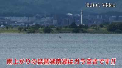 雨上がりの琵琶湖南湖はガランガランのガラ空きです #今日の琵琶湖（YouTubeムービー 22/06/07）