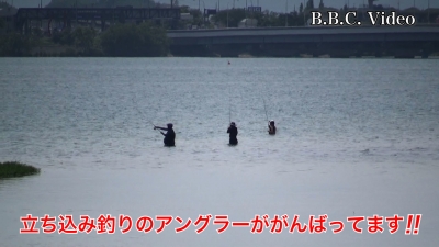 今日も真野浜と河口で立ち込み釣りのアングラーががんばってます!! #今日の琵琶湖（YouTubeムービー 22/06/10）