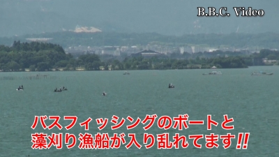 梅雨明けの琵琶湖南湖!! バスフィッシングのボートと藻刈り漁船が入り乱れてます #今日の琵琶湖（YouTubeムービー 22/06/28）
