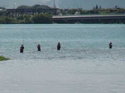 立ち込み釣りのアングラーで賑わう真野川河口。なぜがボートの姿は見えません（7月23日9時頃）