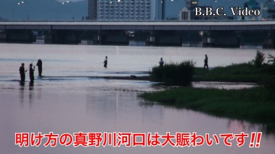 明け方の真野川河口は平日でも大賑わい #今日の琵琶湖（YouTubeムービー 22/07/28）