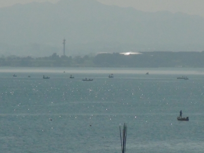 琵琶湖大橋西詰めから眺めた赤野井沖。土曜日の南湖は先週末の日曜日に次ぐ賑やかさになありました（10月1日11時頃）