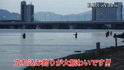 スポーツの日の3連休2日目!! 真野浜の立ち込み釣りは大入り満員 #今日の琵琶湖（YouTubeムービー 22/10/09）
