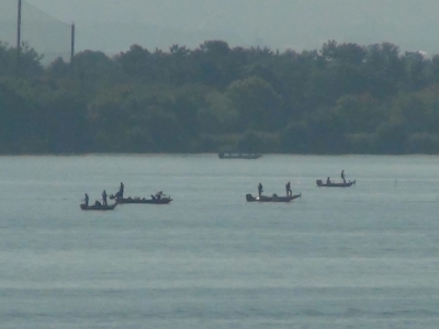 木浜3号水路沖で釣り中のボート。琵琶湖大橋西詰めから眺めた南湖はこんな感じの小船団があちこちにできてます（10月15日8時50分頃）
