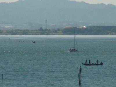 琵琶湖大橋西詰めから眺めた南湖は東寄りの風。北湖は北西の風が強まってすでに大荒れになってました（19月19日9時15分頃）