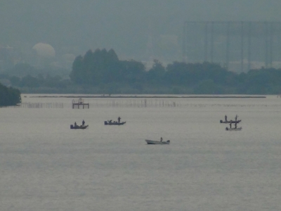琵琶湖大橋西詰めから眺めた南湖は曇天微風のベタナギであちこちに小規模な船団ができてます（10月22日8時45分頃）