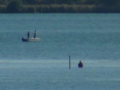 山ノ下湾から眺めた琵琶湖南湖はボートが少なくてガラ空き。湾口で立ち込み釣りのアングラーが今日も1人がんばってます（10月26日9時40分頃）