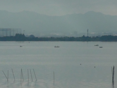 琵琶湖大橋西詰めから眺めた南湖は晴天微風のベタナギから午後は曇り空になりました（10月31日9時15分頃）