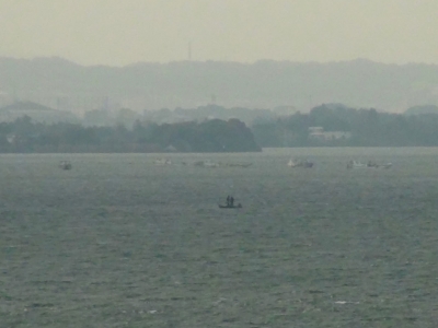 琵琶湖大橋西詰めから眺めた南湖は南寄りの強風で荒れてます。赤野井沖で釣り中のボートの向こうに藻刈り漁船が見えてます（11月4日10時頃）