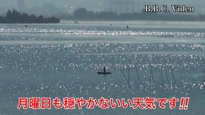 琵琶湖南湖は月曜日も穏やかな秋晴れ!! 湖上はガラ空きに戻りました #今日の琵琶湖（YouTubeムービー 22/11/07）