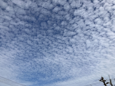 昨日までの雲一つない快晴から今日は鱗雲が掛かる秋らしい空模様になりました（10月21日10時頃）