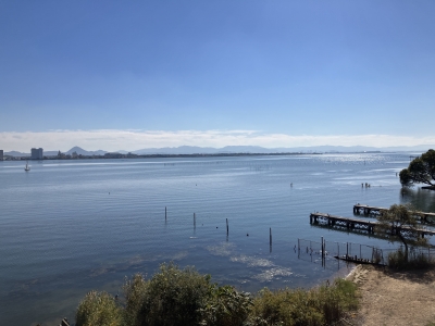 琵琶湖大橋西詰めから眺めた南湖は今日もほぼ快晴。西寄りの軽風で湖面は軽く波立ってます。ボートは一気に減って湖上はガラ空きに戻りました（11月7日11時頃）