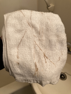 ラインを拭いたタオルに泥汚れがこびり付きます