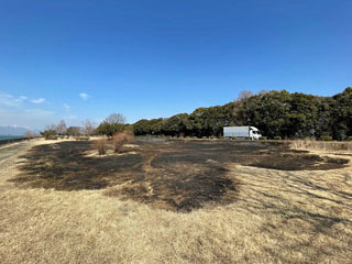 BBQが原因とみられる火災で芝生が焼けた草津市の湖岸緑地