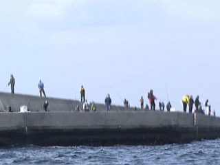 立入禁止なのに渡船で渡れる横浜港の防波堤