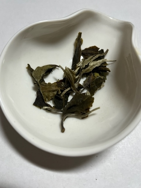 HOJO　古樹白茶　2019１