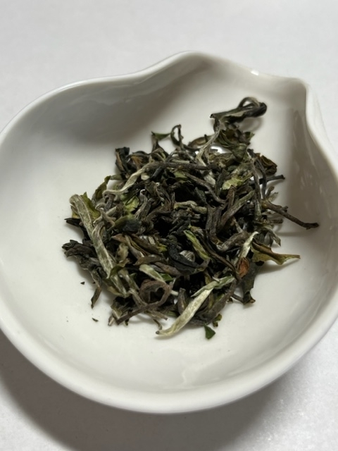 Darjeeling Tea Boutique　ダージリン2022FF　NAMRING UPPER GLORIA1