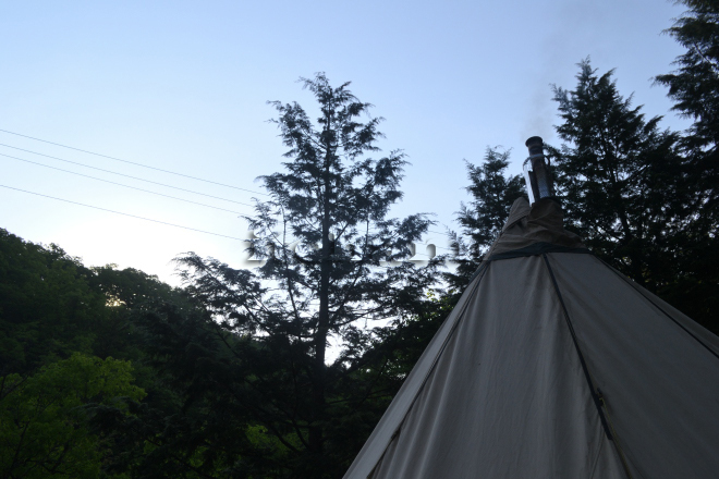 何がなんでもキャンプだし 緑と太陽の丘キャンプ場　マダニ　駆虫薬　獣医　感染症　駆除　ココア　犬連れキャンプ　ウルトラ　害虫