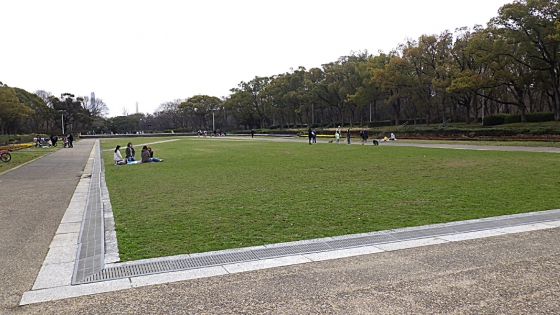 大泉緑地 中央花壇（2022年4月撮影）