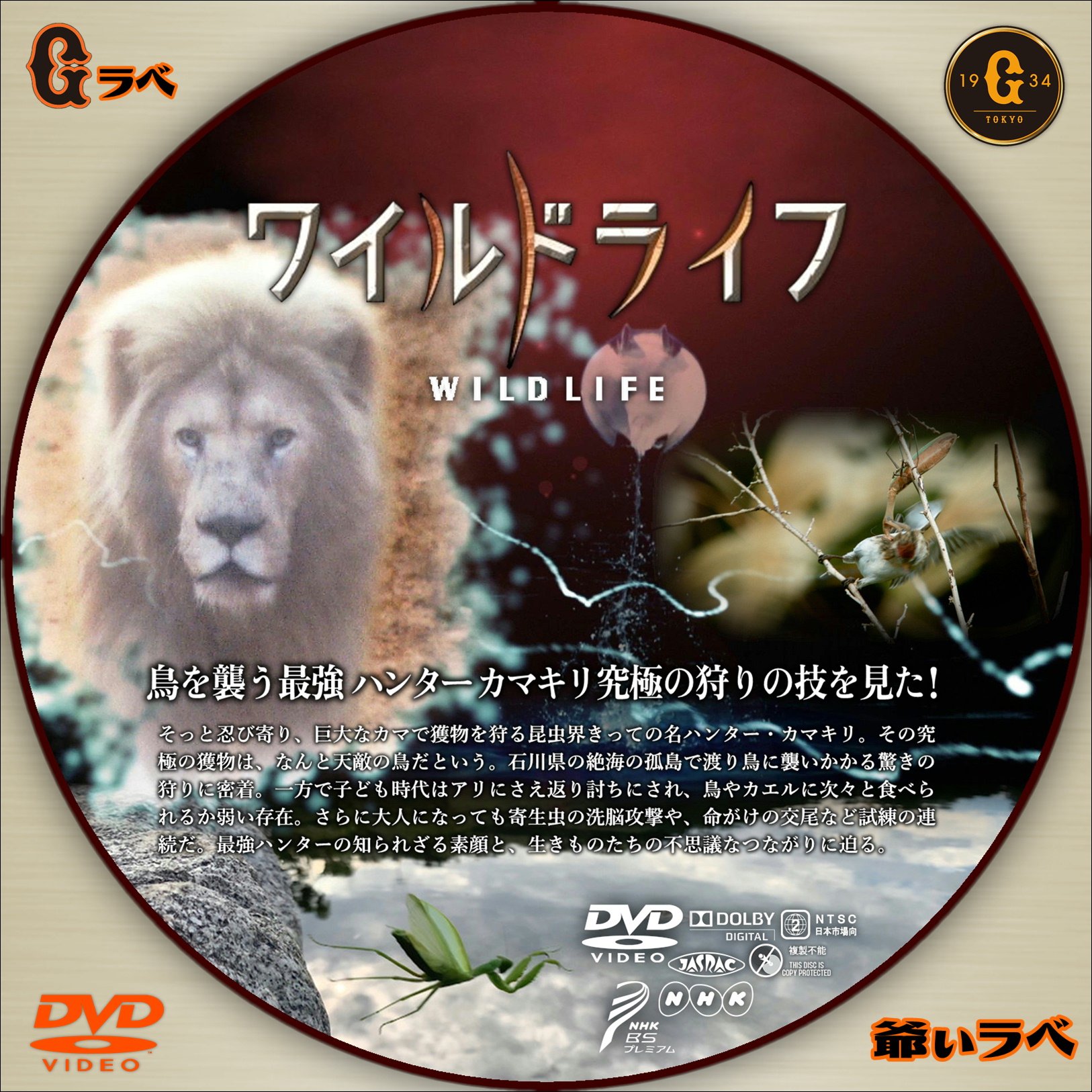 NHK ワイルドライフ 最強ハンターカマキリ特集（DVD）