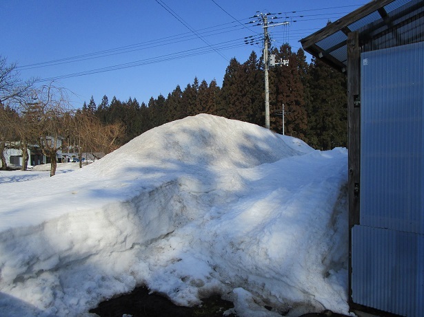 畑の雪山