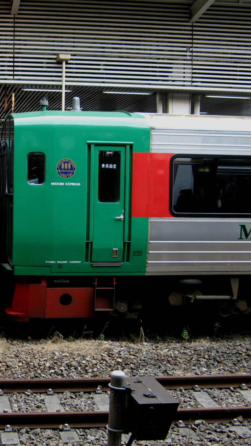 train783k-pea-right.jpg
