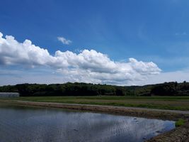 【写真】農園前に広がる青い空と白い雲と三舟山と田んぼの風景