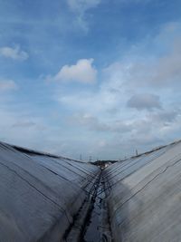 【写真】台風対策作業中の本圃ハウス屋根上の様子