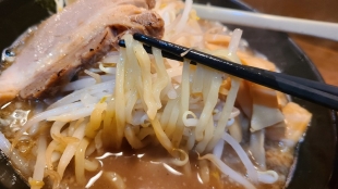 東光　濃厚煮干ラーメン　麺