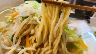 竹ぞう　味噌ラーメン　麺