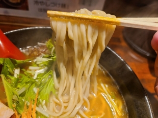 えび蔵石山　甘エビ塩ラーメン　麺