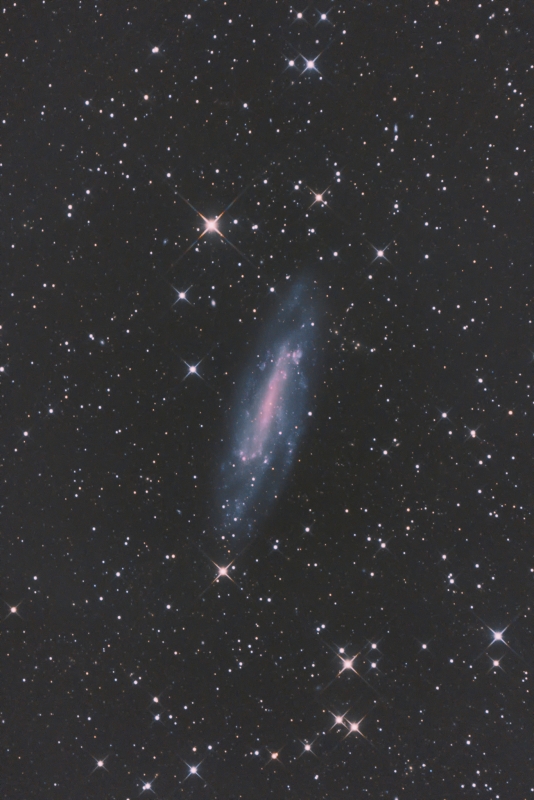 南会津NGC4236_2048_巨砲40枚300sec2600MC