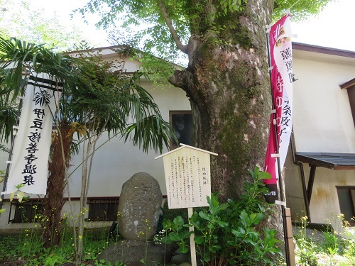 IMG_6937 日枝神社