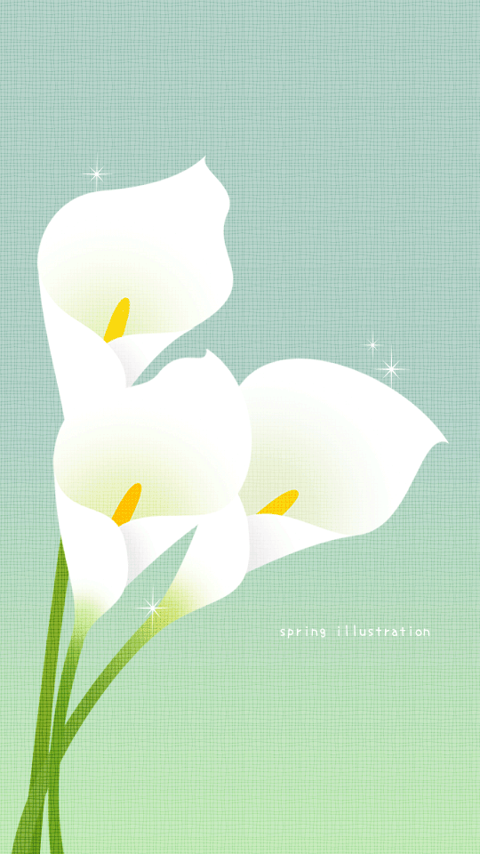 【カラー】花のイラストスマホ壁紙・背景