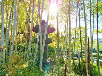 竹と灯篭　行船公園2022