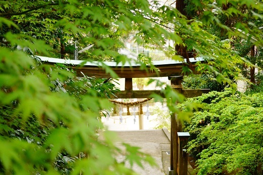 田間神社　　　　　　