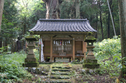 221011熊野神社大杉⑧